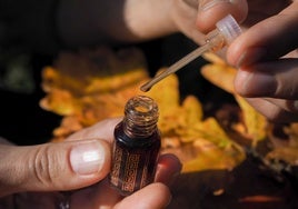 Qué es el oud, el ingrediente más caro y deseado de la perfumería