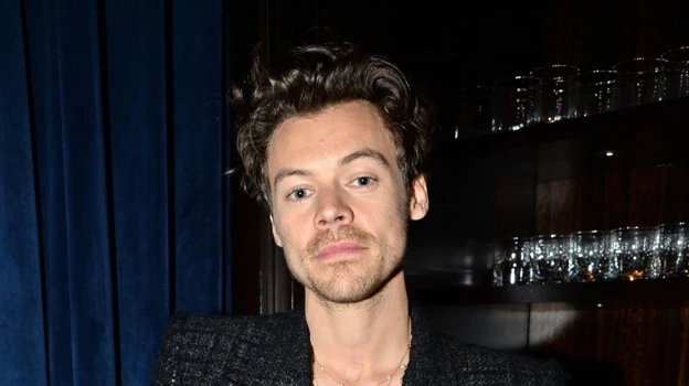 After Image - Harry Styles rocked long hair years ago, now he prefers short hair.