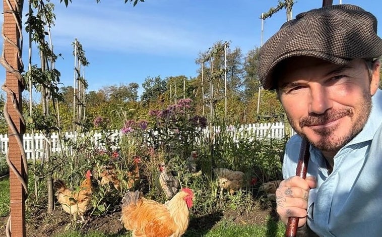 Imagen principal - David Beckham cumple 50 años: así se cuida para mantenerse joven