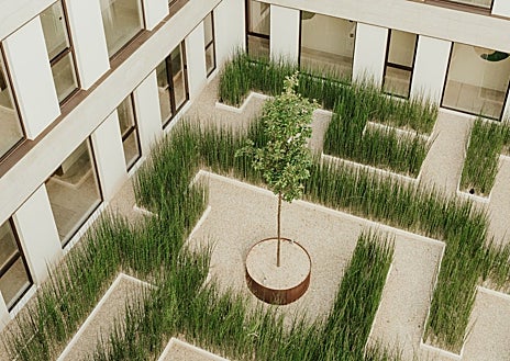 Imagen secundaria 1 - Cerca de 12.000 especies de la zona crecen alrededor del hotel boutique. 