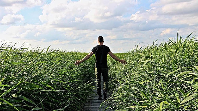 Estilo de vida activa