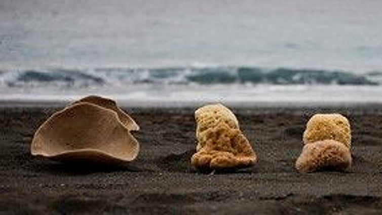 La esponja de Kálimnos: de las profundidades del Egeo a los tocadores de lujo