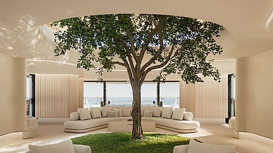 El superyate de 50 millones de euros que tiene un árbol vivo en su salón