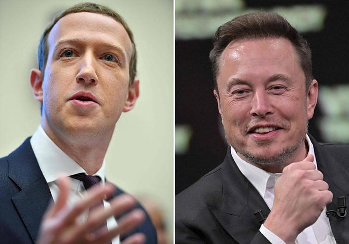 Mark Zuckerberg y Elon Musk