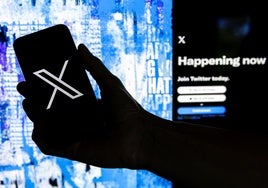 Un juez ordena suspender la red social X en Brasil