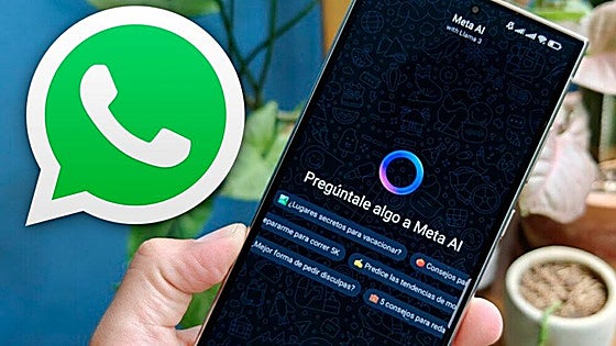 Cómo desactivar el círculo azul en WhatsApp