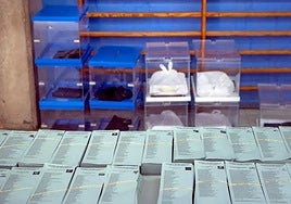 La IA puede convencerte de a quién votar en las próximas elecciones