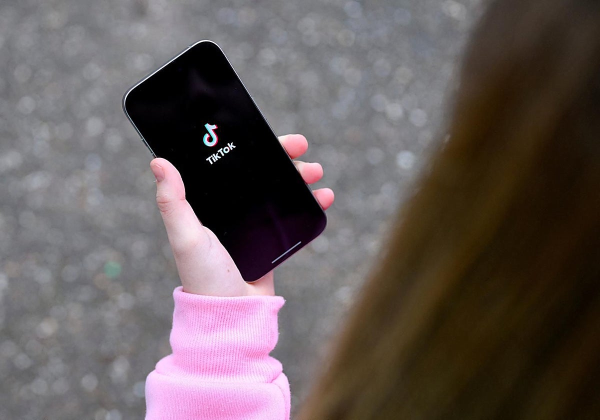 Europa acusa a TikTok de no proteger a los niños que usan la 'app' de los desconocidos