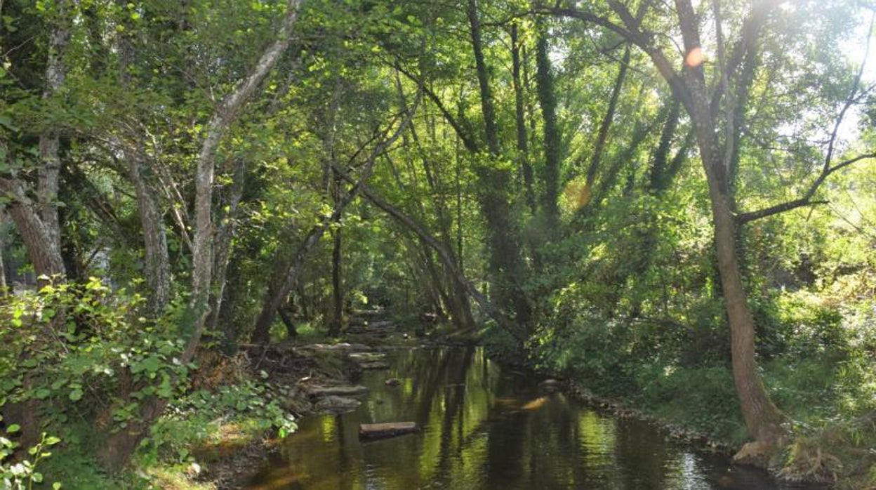La Isla Margarita, un refugio contra el calor en plena Sierra Morena de Sevilla