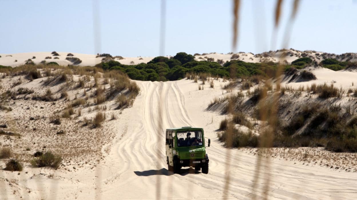 Visita a las dunas de Andalucía, paraísos movedizos