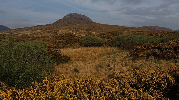 Parque Nacional de Connemara