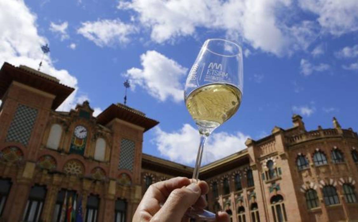 D.O.P. Montilla-Moriles