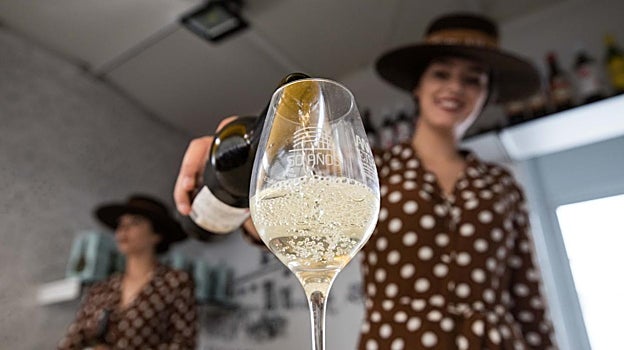 Un vino de la D.O.P Montilla-Moriles