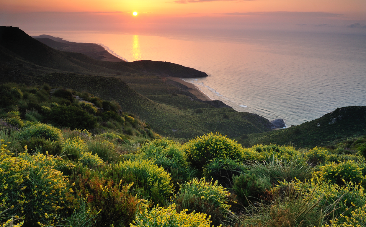 Imagen de Calblanque, Murcia