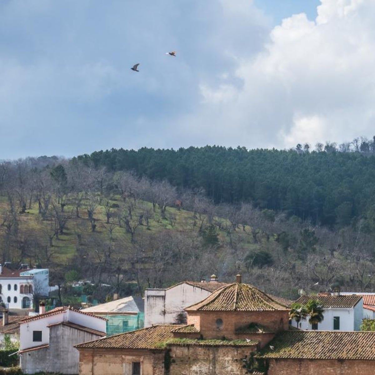 Senderismo en Fuenteheridos: el pueblo de las fuentes y los manantiales