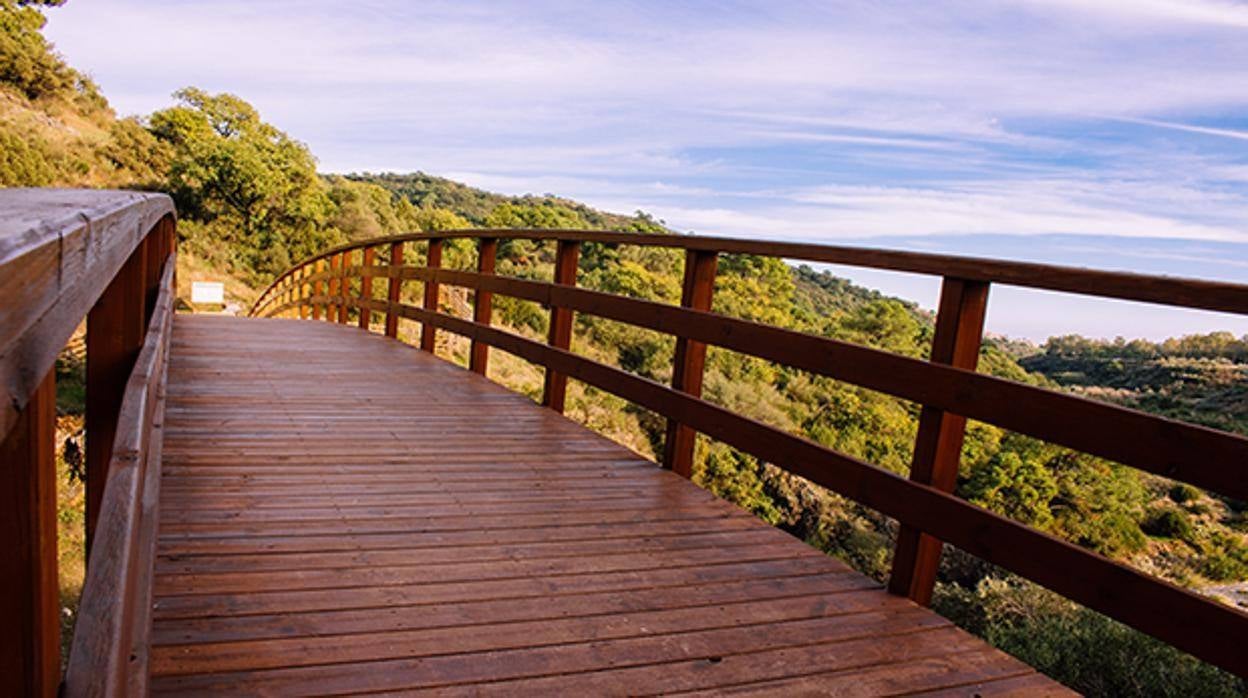 Cuatro rutas senderistas imprescindibles por la Sierra de las Nieves de Málaga