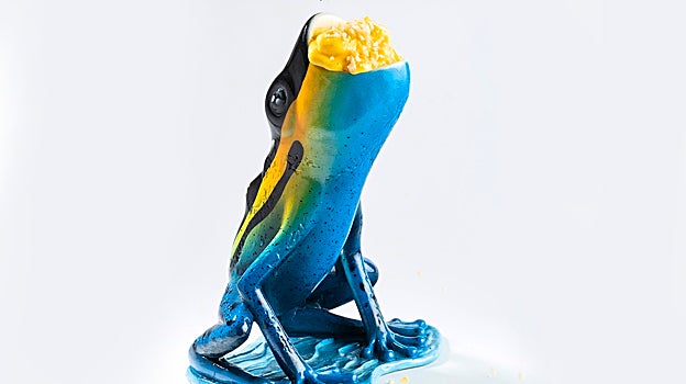 Cóctel Look, Mum, no Hands!