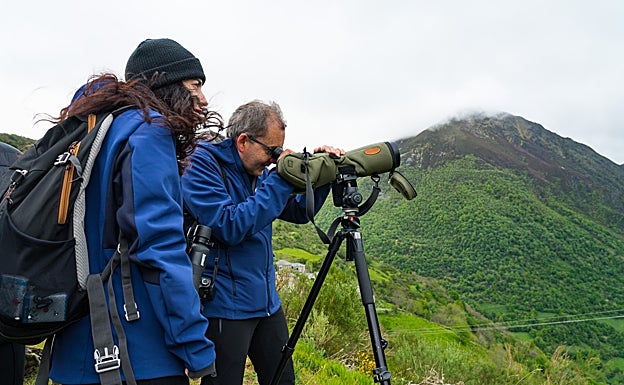 Observación del oso pardo con los guías de Wild Spain Travel