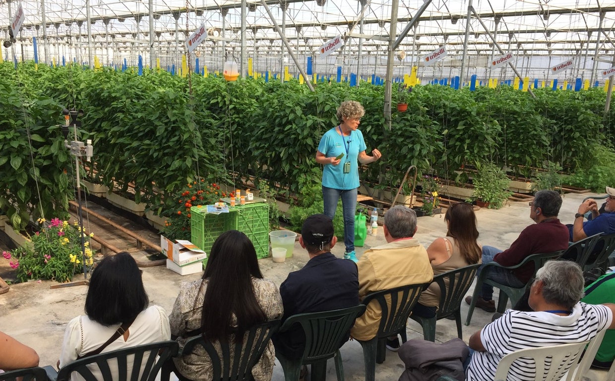 La fundadora de Clisol, Lola Gómez, durante una visita en sus invernaderos.