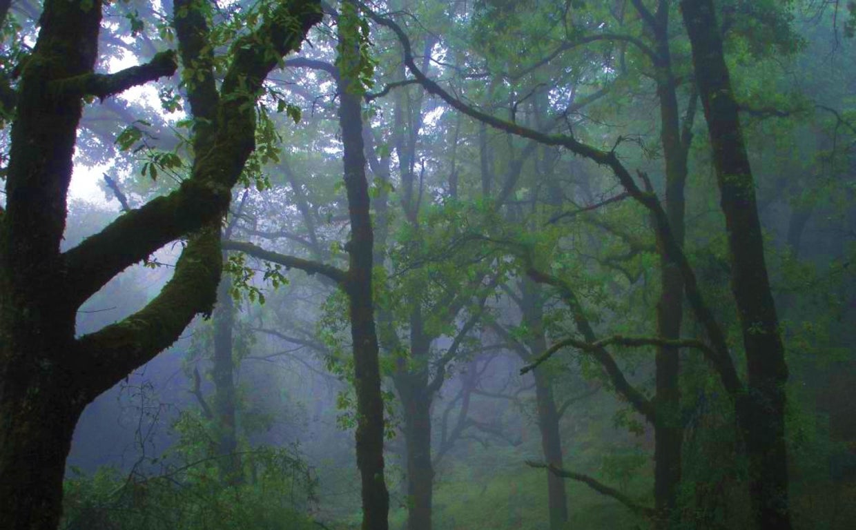 La Sauceda es una zona en la que la naturaleza se expresa en todo su esplendor