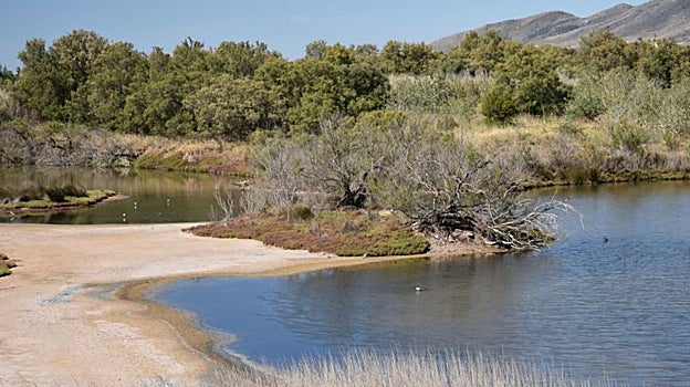 Existen dos senderos señalizados para visitar el paraje