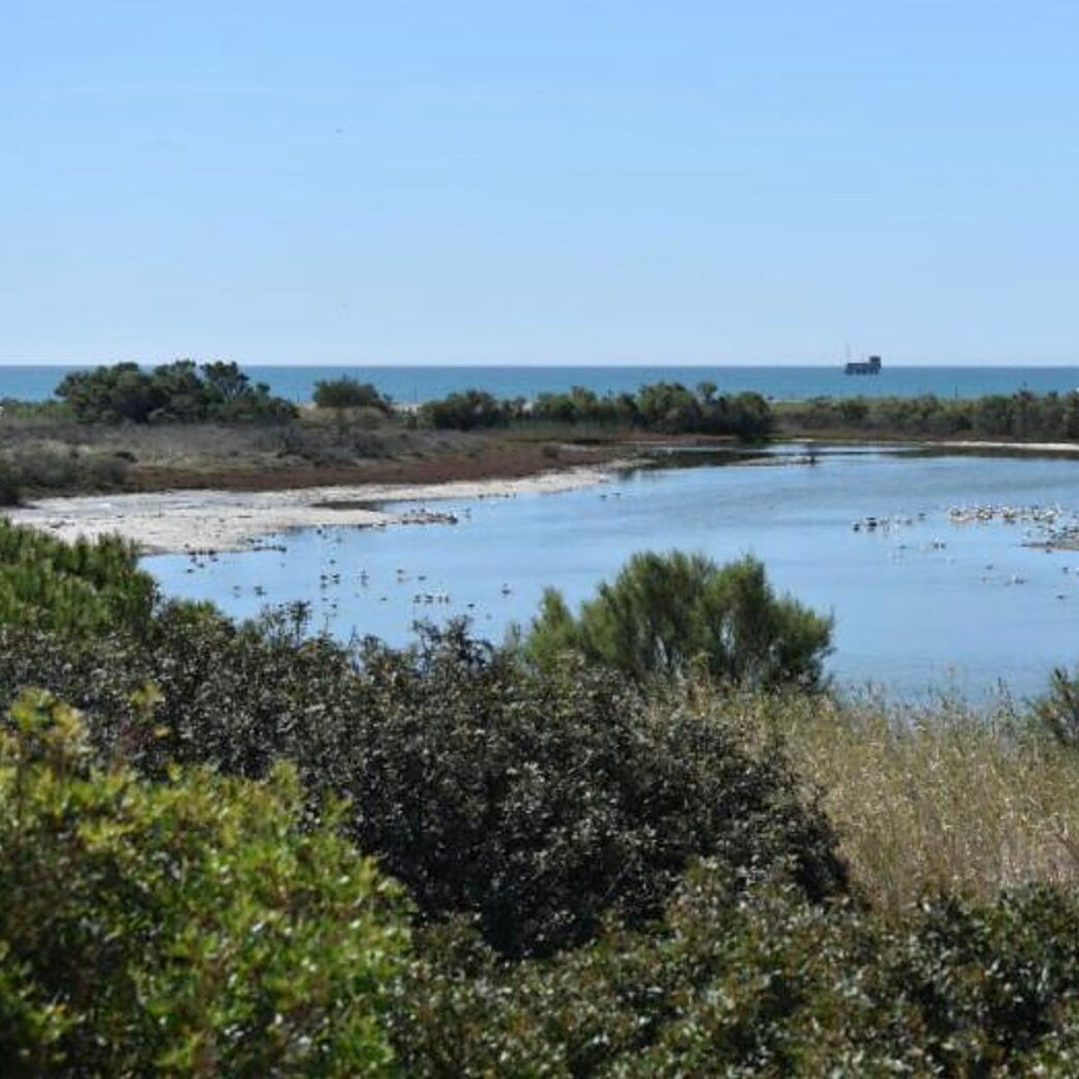 El secreto de la desembocadura del Guadalhorce: una isla artificial convertida en paraje natural en Málaga