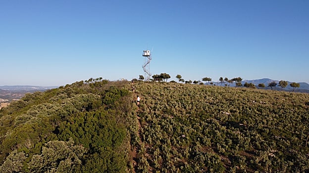 La sierra de San Pablo de Montellano es un lugar ideal para disfrutar de actividades en la naturaleza