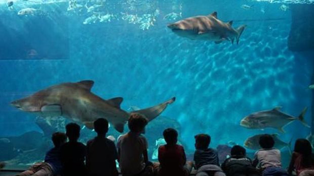 Diez planes con niños para disfrutar de Sevilla este otoño