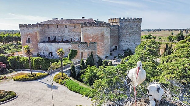 Castillo de Topas