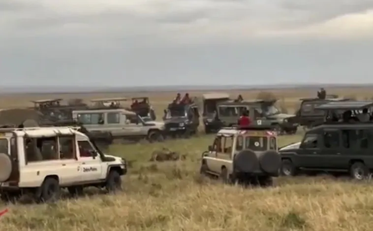 Animales rodeados, bocinazos, gritos: así son los atascos de turistas en Masai Mara