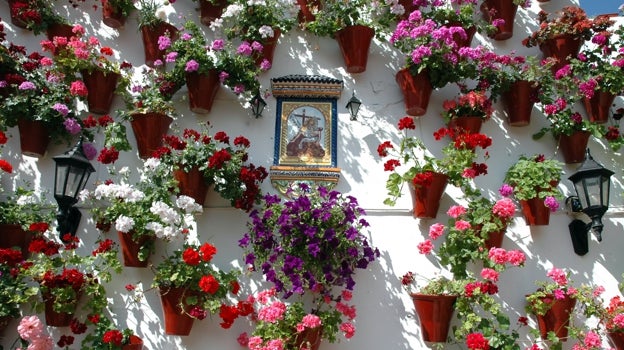 Imagen de un patio decorado con flores
