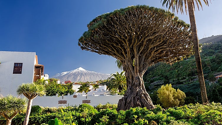 Este es el Pueblo Mágico de España en 2023 (y estos son sus atractivos)