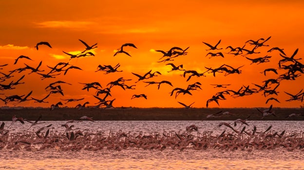 Atardecer en el Parque Nacional de Doñana