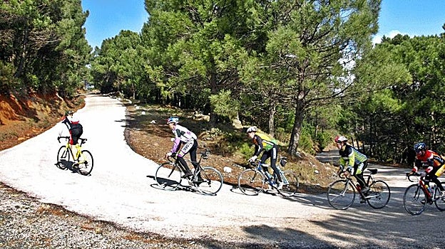 La subida en bicicleta a Los Reales es una de las más bonitas de toda Andalucía