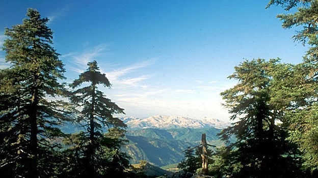 Las vistas en Los Reales de Sierra Bermeja son sencillamente espectaculares
