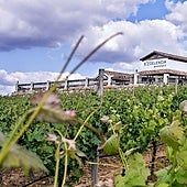 Cinco bodegas que puedes visitar en Málaga