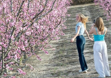 La floración en Cieza: una de las más espectaculares y menos conocidas de España