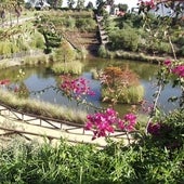 Parque botánico José Celestino Mutis, naturaleza de los cinco continentes en Palos de la Frontera