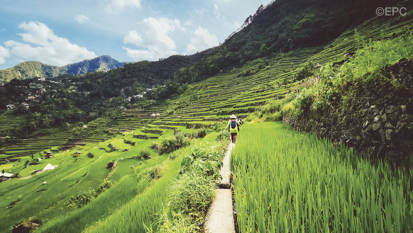 Banaue es conocida por sus terrazas de arroz, que han sido declaradas Patrimonio de la Humanidad por la Unesco. Además, cuenta con otros atractivos turísticos como el mercado local, su gastronomía y las inmensas terrazas de cultivo en forma de anfiteatro de Batad.