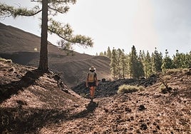 Gran Canaria Natural & Active: Conocer, hacer, disfrutar