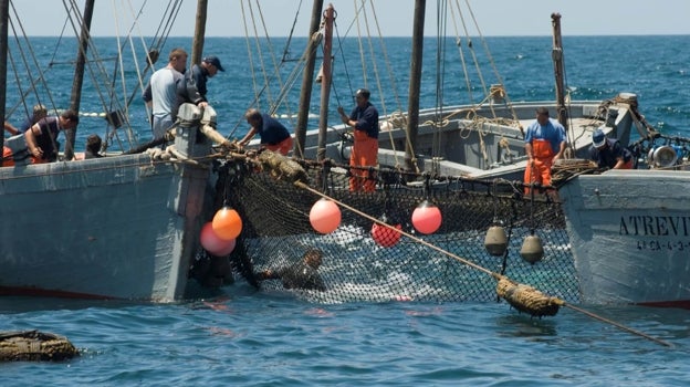 La historia de Conil de la Frontera está ligada a la pesca del atún y concretamente al arte de la almadraba