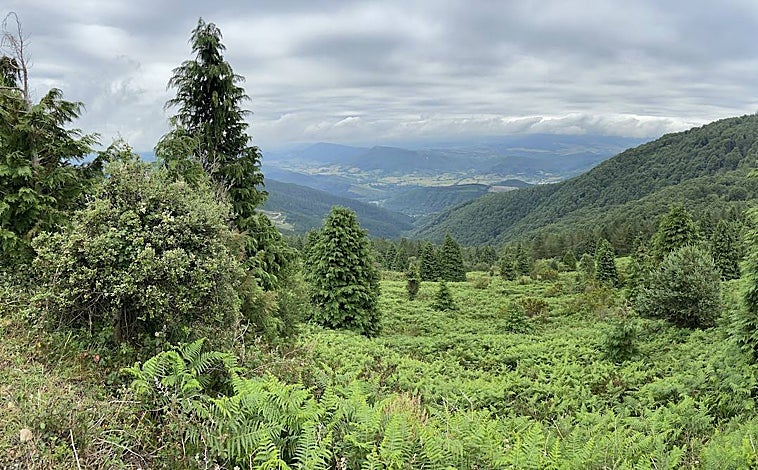 Imagen principal - En la foto superior, Las Encartaciones, un valle verde y radiante. Sobre estas líneas, el Basque BioDesign Center, inaugurado en abril de 2022 en Güeñes, un centro especializado en biodiseño y biomateriales. A la derecha, la Cueva de Pozalagua