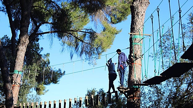 El bosque suspendido se encuentra en el paraje de La Juliana, en el término municipal de Bollullos de la Mitación