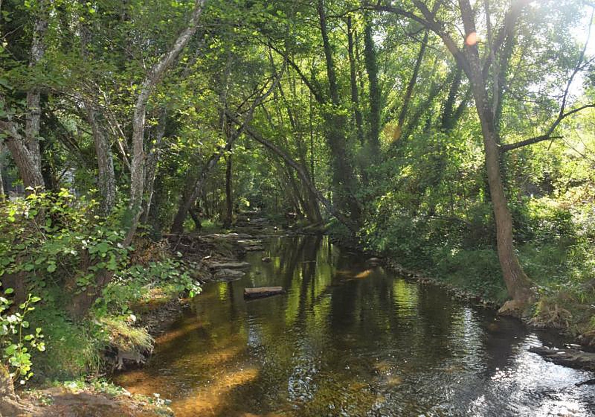 Una opción perfecta para escapar del calor en la provincia de Sevilla es visitar la isla Margarita, situada en Cazalla de la Sierra