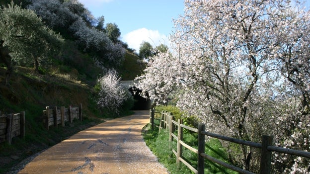 La Vía Verde de la Sierra de Cádiz, que parte de la localidad de Puerto Serrano, deja estampas muy bellas en su recorrido