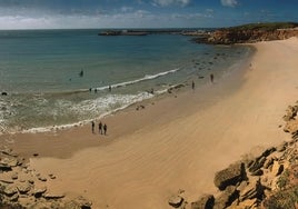 Calas de Conil, una ruta fácil por los acantilados de Roche para iniciarse en el senderismo