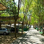 Estos son los campings de Málaga más baratos que aún están disponibles para una escapada en agosto