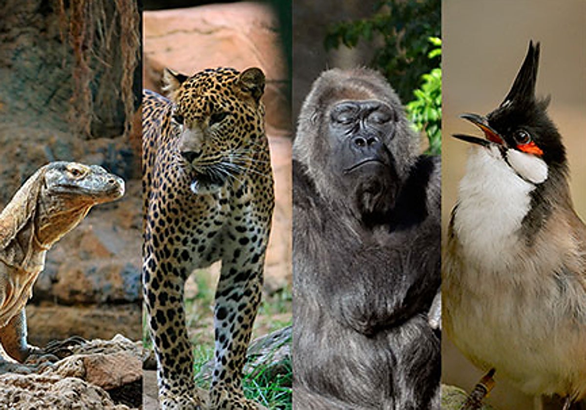 Algunas de las especies del zoológico