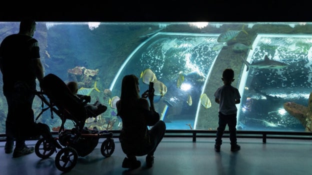 Una familia contempla el Biodomo del Parque de las Ciencias de Granada.