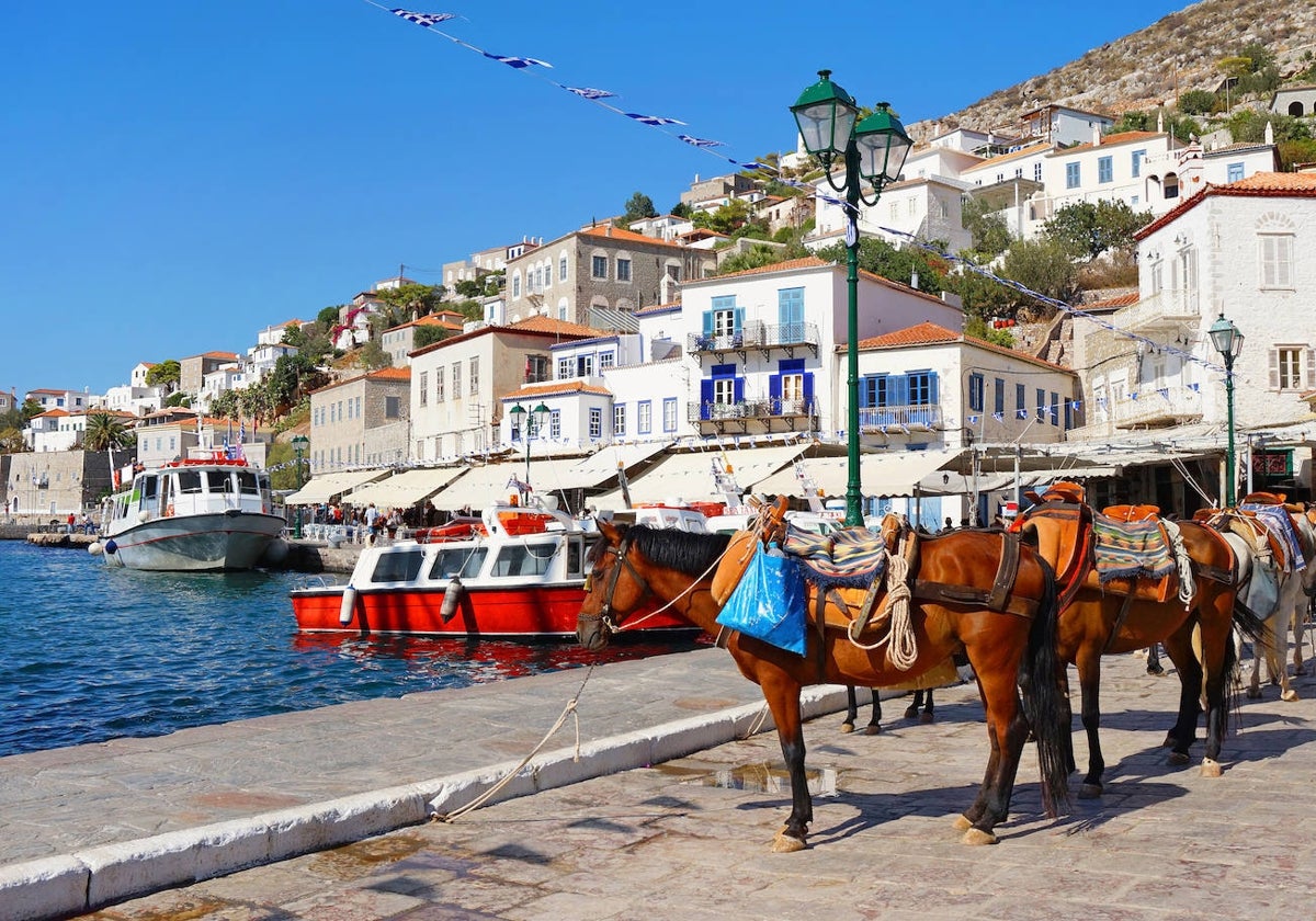 Équidos a la espera de turistas, en el puerto de Hidra